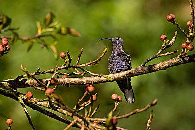 复古日漫风太空科幻叙事冒险游戏《星舰铳犬 太阳系物语》现已正式发售 获特别好评